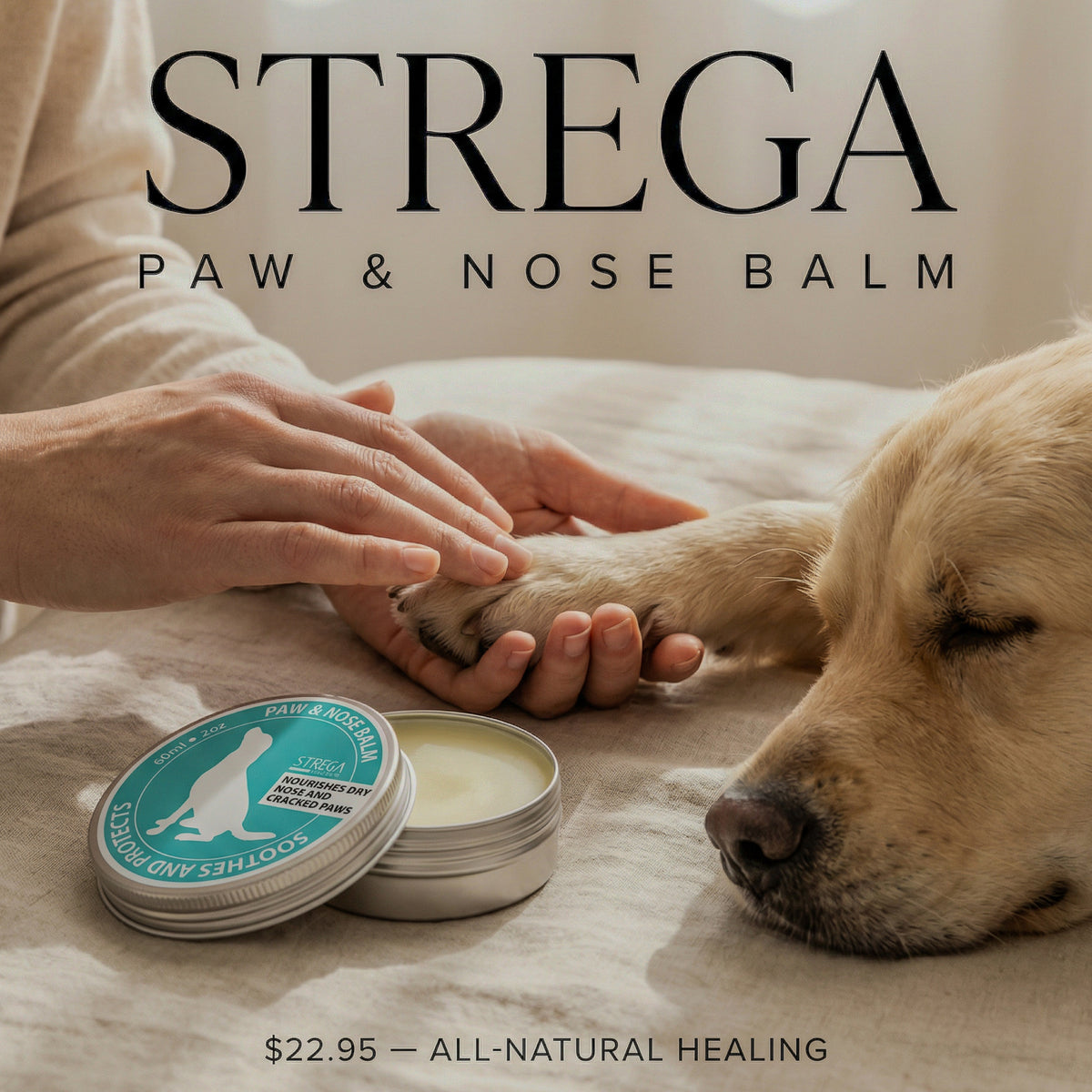 A golden retriever lies on a cream fabric surface while a person gently holds its paw. In the foreground is an open round tin of Strega Paw & Nose Balm with a teal label.