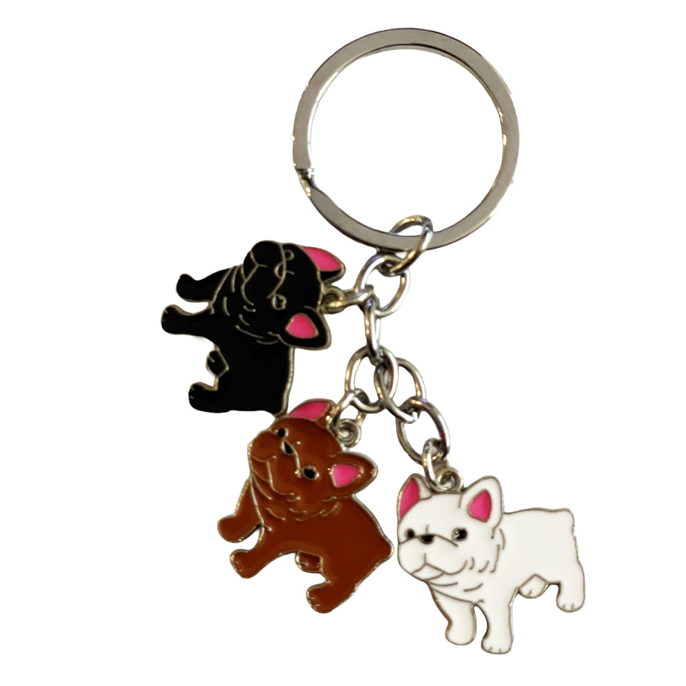 Three French Bulldogs Black Brown White