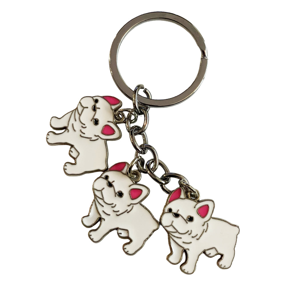 Three White French Bulldogs